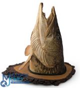 Preserved pike's head - mounted on wooden plaque, approximately 12