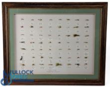 Framed Display of Trout Flies, a broad selection of named flies - under glass - size #45cm x 55cm