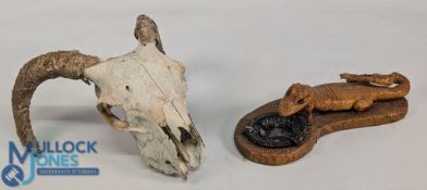 Taxidermy Baby Alligator mounted on base with metal Ashtray from Venezuela together with Sheep Skull