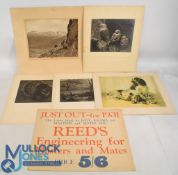 Photographs by H S Thorne Kittiwake Gull and Young was entered into 1932 exhibition for the Royal