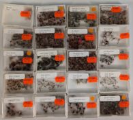 Collection of new shop stock trout flies, sizes 10-18, patterns include Gold Ribbed Hares Ear, Kites