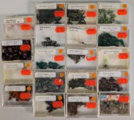 Collection of new shop wet and dry flies, sizes 8-14, patterns include Longhorn Sedge, Ivans Brown &