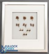 Collection of Loch Ordie flies mounted in a glazed aluminium shadow frame 14x12.5