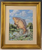 Chris Turnbull (b.1950) Original watercolour painting Mirror Carp Jumping, this image is from his