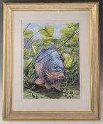 Chris Turnbull (b.1950) original watercolour painting Mirror Carp in Lilies, this image is from