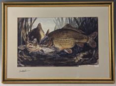 Bernard Venables Signed Print, of a Pair of Carp signed in pencil to mount - size #47cm x64cm