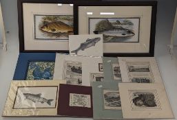Fishing Prints Engravings Cuttings, a good selection of mounted prints/cuttings and 3 framed fish