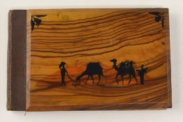 Unusual early souvenir booklet 