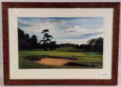 2003 Mike Spring 13th Hole Photograph, signed by the artist - unknown course