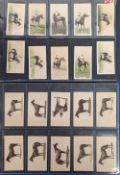 2x Horseracing, Racehorses Cigarette Cards, two rarer sets, Sanddorides Famous Racehorses, Lucana