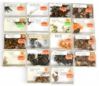 18 small trayed boxes containing a large collection of new old shop stock flies, ex Walkers of