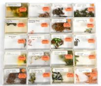 20 small trayed boxes containing a large collection of new old shop stock trout flies, ex Walkers of