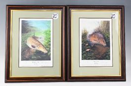 A pair of John Searl (20th century) 'Mirror Carp' and 'Summer Barbel', signed limited edition prints