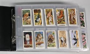 Selection of Cigarette Cards to include John Players Wild Birds, Struggle for Existence, Mills