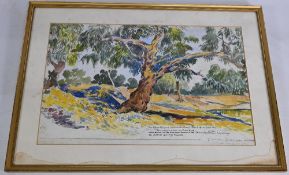 Australian Water by George Coleman Green 1920 featuring The River Bogan 1000 mile dried up in May