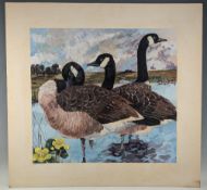 1969 T J Davies Canadian Geese watercolour painting, a good-looking watercolour mounted on card -