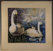 c1970 T Davies Swan watercolour painting, a good-looking watercolour mounted on card - size 76cm x