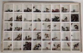 Display Case of Traditional Wet Trout Flies, in a wooden retail sectional box with plastic lid
