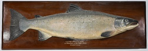 Fochaber's Studio - Carved Salmon - C. Farlow & Co Ltd Stamped to reverse - Finely presented 'Caught