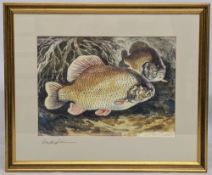 Bernard Venables Signed Print, of a pair of Carp, signed in pencil to mount - size #45cm x 54cm