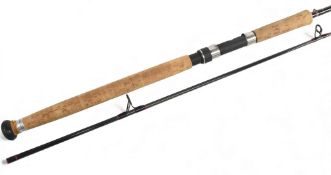 Daiwa Whisker carbon spinning rod WS 98-9S9 2pc CW 10-50g, 23
