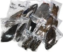 Very good collection of paired wing feathers, made up of guinea fowl, hen pheasant, mallard,
