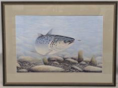 Peter Skillen, a pastel drawing of an Atlantic salmon about to take a fly, signed Peter A Skillen