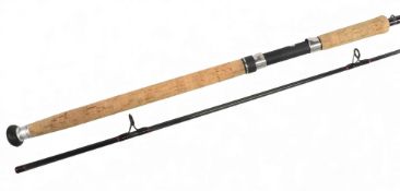 Daiwa Whisker carbon spinning rod WD98-10S, 10ft 2pc CW 10-60g, 24