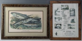 The River Esk Pool Guide Print, limited edition 32/250 by artist Ian Reed, with a modern print of