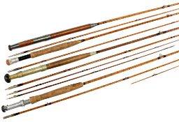 Hardy Palakona 10' 6