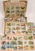 Zooligical Lotto - Manufactured by Werner & Schumann in Germany c1910 involving six boards and 72