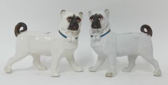 A pair of 19th century porcelain figures of pug dogs, height 16cm. (2)