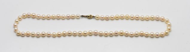 A single string of pearls set with a gold clasp marked 585, overall length approx 41cm.