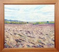 Don Inkersole (b. 1946), oil on canvas 'Ploughed Fields', signed lower right, framed, overall size