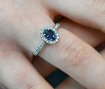 An 18ct white gold sapphire and diamond cluster ring, size N.