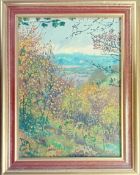 Mary Martin (1951-), oil on board of Tamar Valley, signed lower right, framed, overall size 30cm x