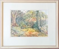 Mabel G. Young, RHA (Irish, 1889-1974) watercolour woodland scene,