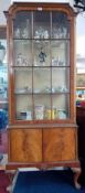 A early 20th century walnut display cabinet fitted with a single door with 12 glazed panels over two