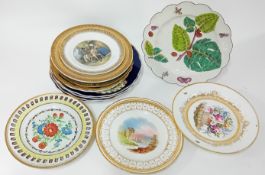 A collection of 19th century porcelain plates, to include floral and gilt decorated pieces,