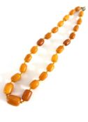 An amber bead necklace, set with twenty four beads, length 50cm, approx 39.3g.