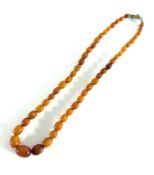 An amber bead necklace, length 48cm, approx 16.7g.