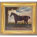 A 19th/early 20th century oil on board study of a dark bay horse tied to a tree, unsigned, in a