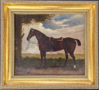 A 19th/early 20th century oil on board study of a dark bay horse tied to a tree, unsigned, in a