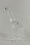 Swarovski Crystal Glass, Giraffe - Baby, boxed.