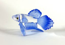 Swarovski Crystal Glass, Siamese Fighting Fish - Blue, boxed.
