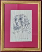 Robert Lenkiewicz (1941-2002), pencil sketch of a spaniel dog, signed lower right, framed and