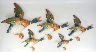 A set of 5 graduating Beswick flying ducks / mallards. Each stamped with reg numbers to reverse. a/