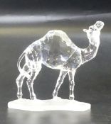 Boxed Swarovski Crystal Camel with amber eyes, H:12cm complete with the original display box