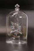 Swarovski Crystal Anniversary Star 1895-2020 encased in a display Dome with a Pink Shimmer 23cm tall