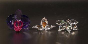 Swarovski Crystal SCS to include Idyllia Orchid Light Purple, Clear Orchid with Green Stem 2013,